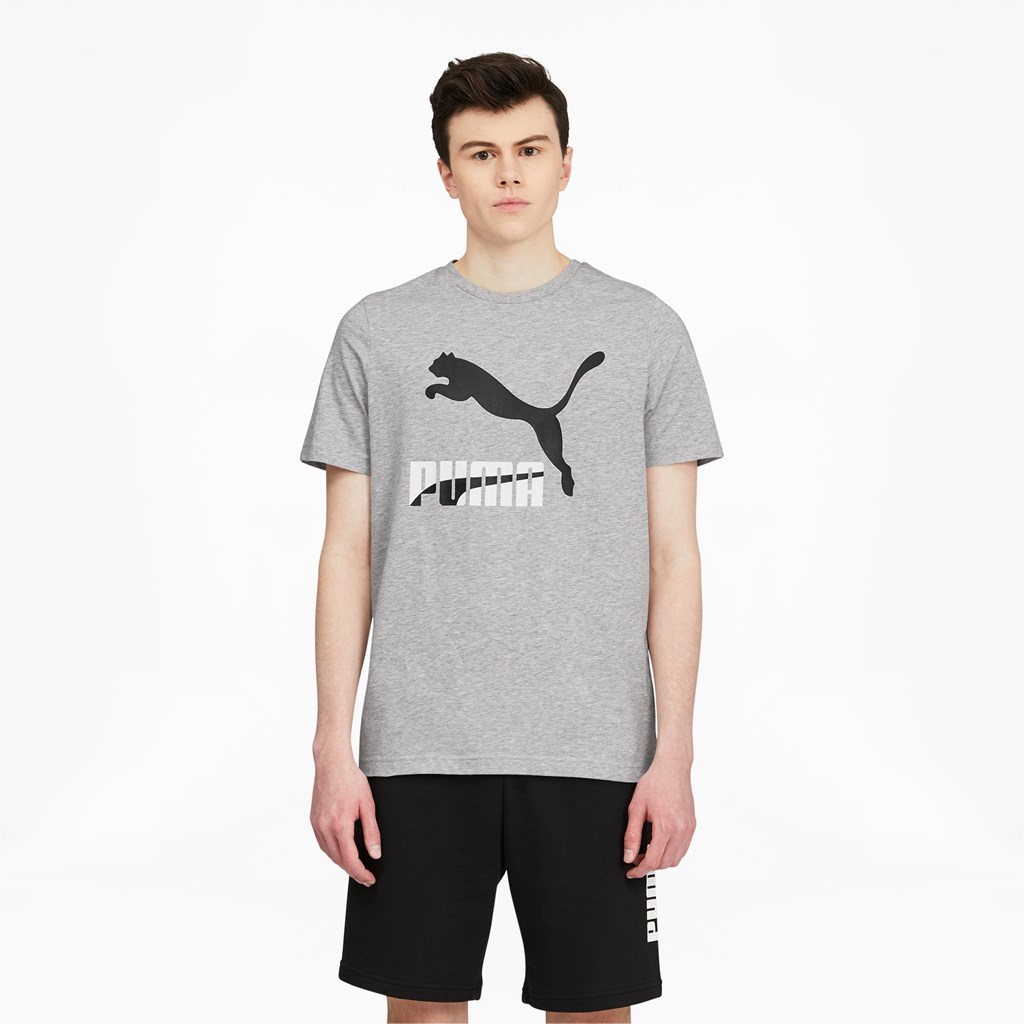 Puma Classics Logo Løpe Tskjorte Herre Lyse | 134UCFJIO