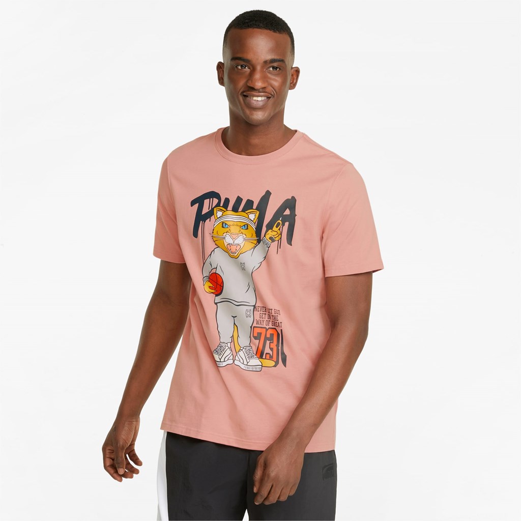 Puma Dylan Kort Sleeve Basketball Løpe Tskjorte Herre Rosette | 530LYHBEQ