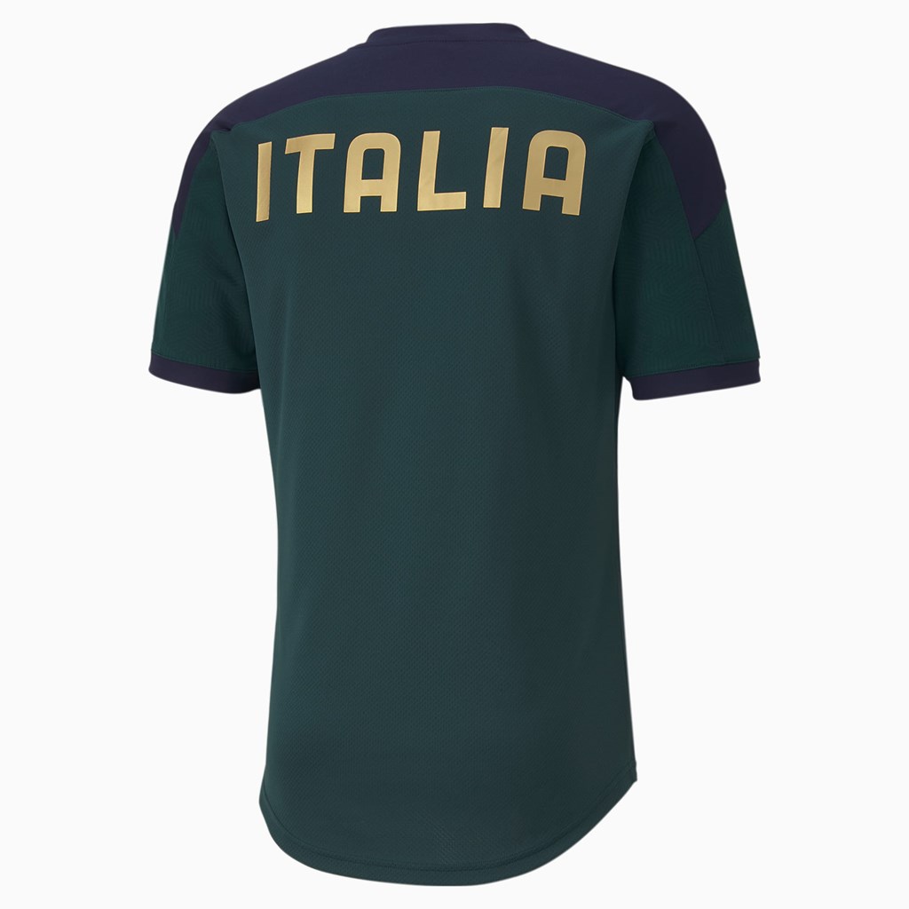 Puma FIGC Trenings Jersey Herre Ponderosa Pine / Peacoat | 980EMGJTP