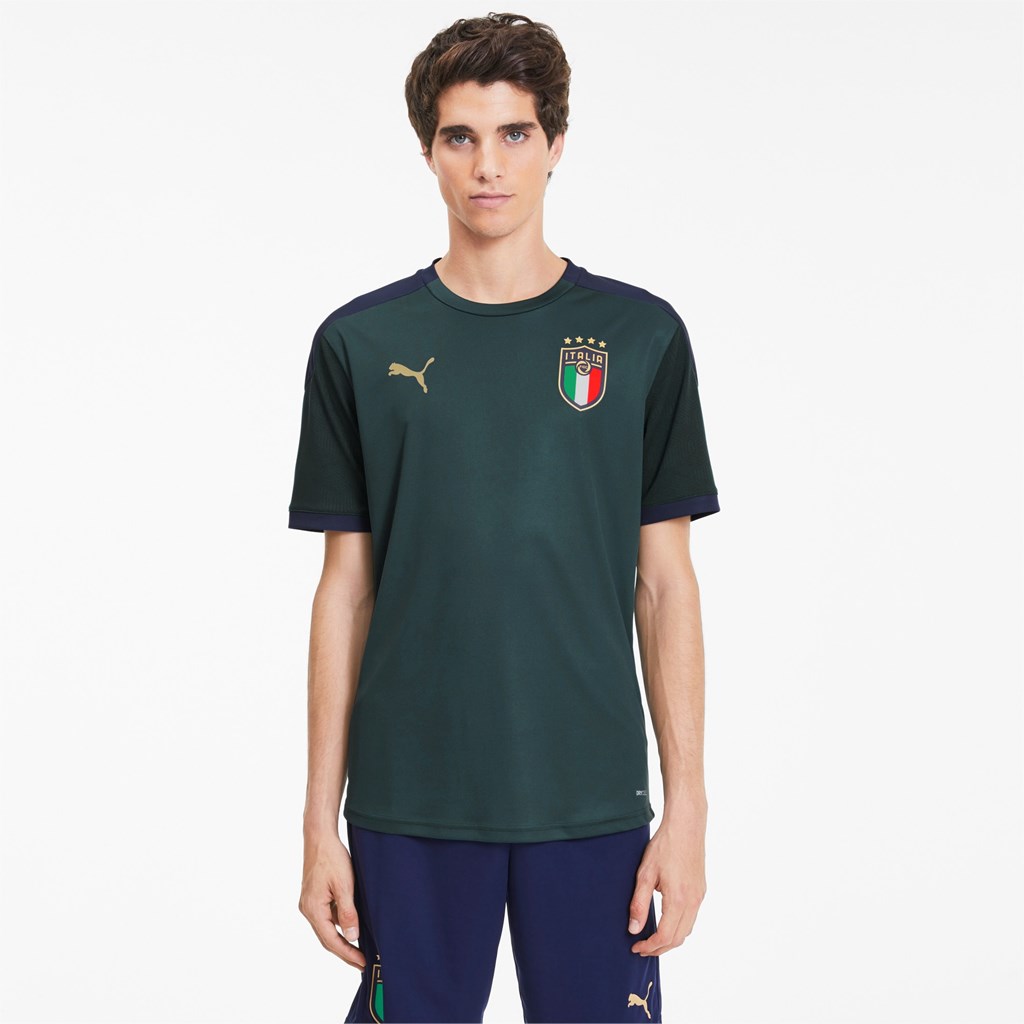 Puma FIGC Trenings Jersey Herre Ponderosa Pine / Peacoat | 980EMGJTP