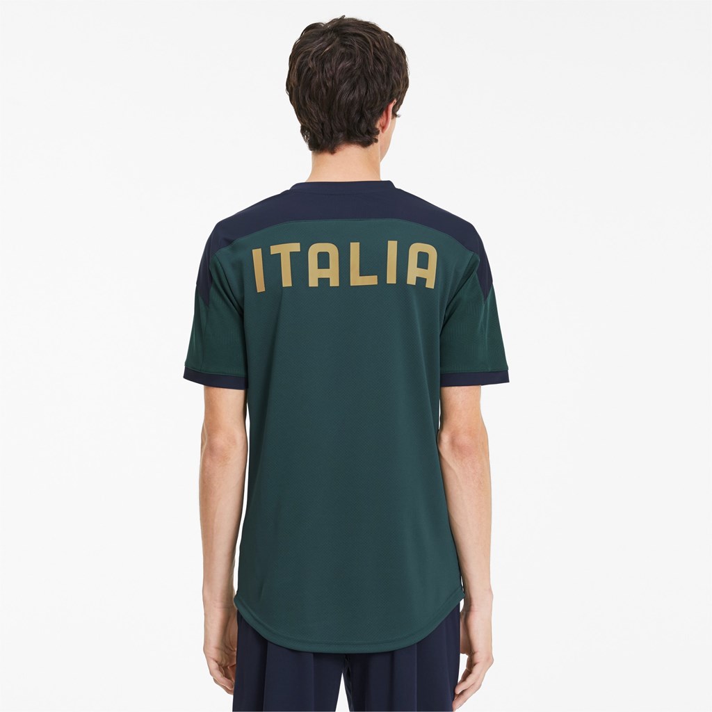 Puma FIGC Trenings Jersey Herre Ponderosa Pine / Peacoat | 980EMGJTP