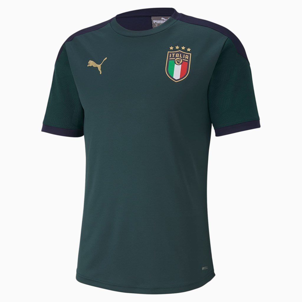 Puma FIGC Trenings Jersey Herre Ponderosa Pine / Peacoat | 980EMGJTP