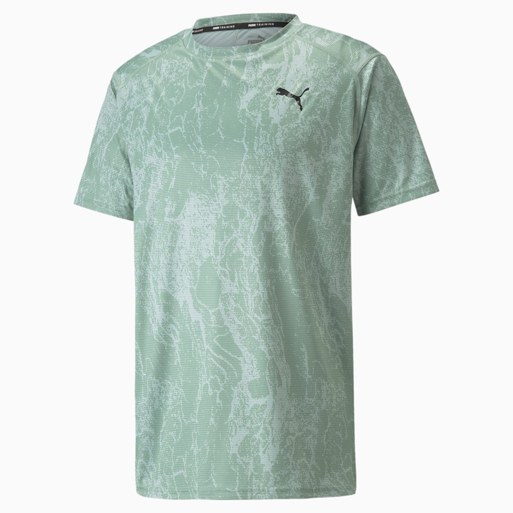 Puma Printed Kort Sleeve Trenings Løpe Tskjorte Herre Jadeite / AOP | 647JNKTPG