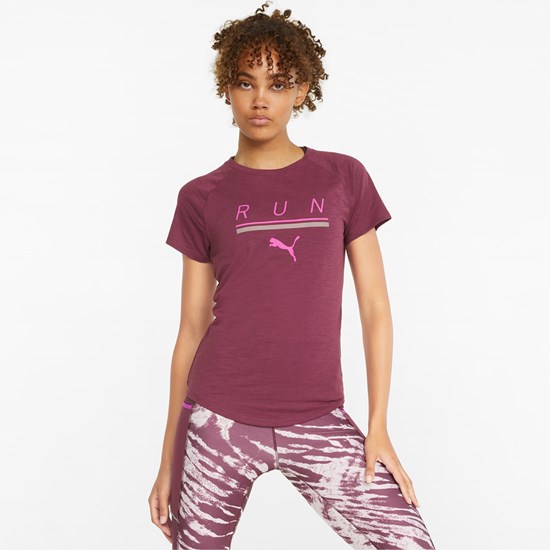 Puma 5K Logo Kort Sleeve Løpe Tskjorte Dame Grape Wine | 209EIANXD