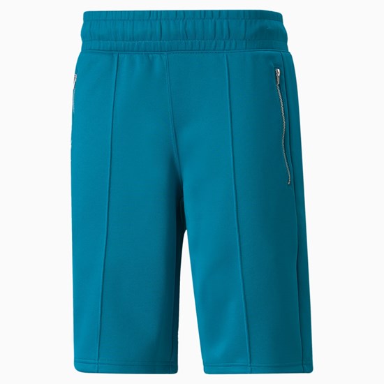 Puma PUMA x TMC Bermuda Shorts Shorts Herre Blå | UT7852690