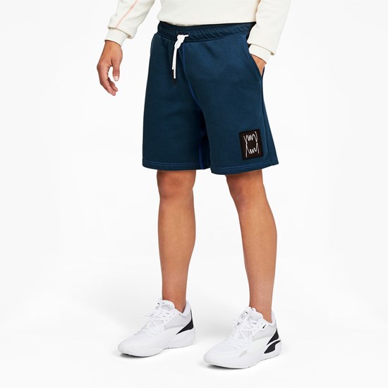 Puma Pivot Basketball Shorts Herre Blå | FO9720168