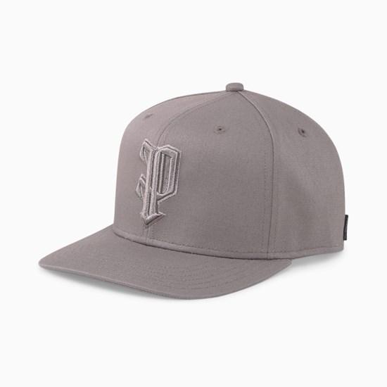 Puma The P Low Curve Hatt Dame Steel Gray | 162ABDGQK